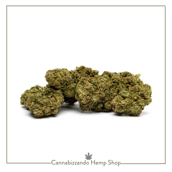 La Super Skunk si distingue per i suoi grossi fiori pesanti e compatti dal gusto deciso. Il suo profumo intenso e travolgente richiama la classica varietà di Skunk e la sua alta percentuale di CBD la rende molto rilassante