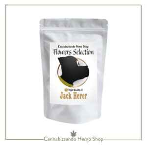La Jack Herer è una varietà certificata di canapa legale (cannabis light) ed è il risultato di una coltivazione attenta e rispettosa della pianta. Si evita rigorosamente l'uso di pesticidi e sostanze chimiche, prediligendo metodi sostenibili e lavorazioni artigianali. Un metodo che garantisce un’infiorescenza che preserva tutta la ricchezza del suo profilo aromatico originale, rimanendo entro i limiti di THC previsti dalla legge italiana e presentando un’alta percentuale di CBD, ideale per chi cerca benessere e relax senza effetti psicoattivi.