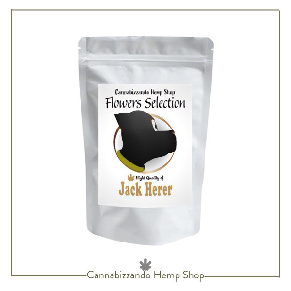 La Jack Herer è una varietà certificata di canapa legale (cannabis light) ed è il risultato di una coltivazione attenta e rispettosa della pianta. Si evita rigorosamente l'uso di pesticidi e sostanze chimiche, prediligendo metodi sostenibili e lavorazioni artigianali. Un metodo che garantisce un’infiorescenza che preserva tutta la ricchezza del suo profilo aromatico originale, rimanendo entro i limiti di THC previsti dalla legge italiana e presentando un’alta percentuale di CBD, ideale per chi cerca benessere e relax senza effetti psicoattivi.