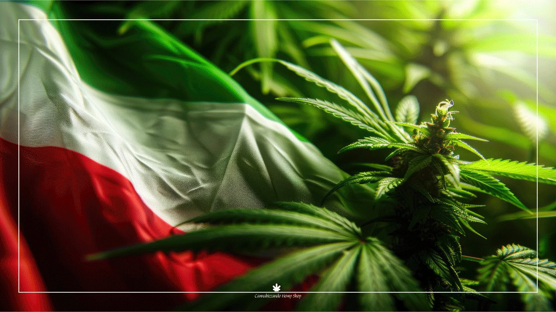 Decreto Sicurezza e Cannabis Light – la Relazione della Corte Suprema di Cassazione