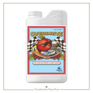Overdrive di Advanced Nutrients è un ferilizzante per la fase finale di fioritura, utile per apportare vitamine e materiale organico al fine di garantire maggior peso e circonferenza ai frutti