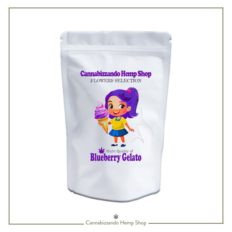 Blueberry gelato CBD è una varietà di canapa legale. Note che evocano il lime, il mirtillo ed il biscotto, un profilo terpenico ricco e bilanciato, rendono questa genetica particolarmente indicata per chi cerca un’esperienza rilassante senza rinunciare a una complessità gustativa rara nel panorama delle cannabis light. Nuova varietà 2025/2026