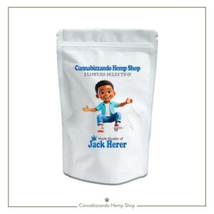 La Jack Herer CBD (varietà certificata di canapa legale) rappresenta la scelta ideale per chi desidera ritrovare serenità senza effetti psicoattivi