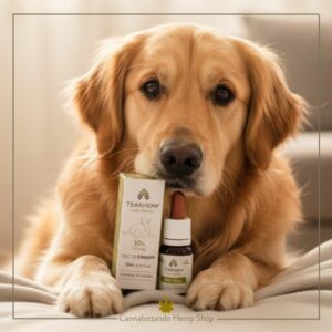 Tearhemp CBD Oil 10% Full Spectrum Care For Pets Formulato con CBD di alta qualità, favorisce il benessere degli animali domestici