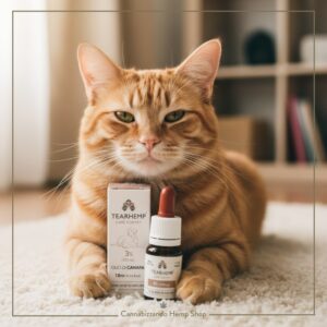 Tearhemp CBD Oil 3% Full Spectrum Care For Pets Formulato con CBD di alta qualità, favorisce il benessere degli animali domestici