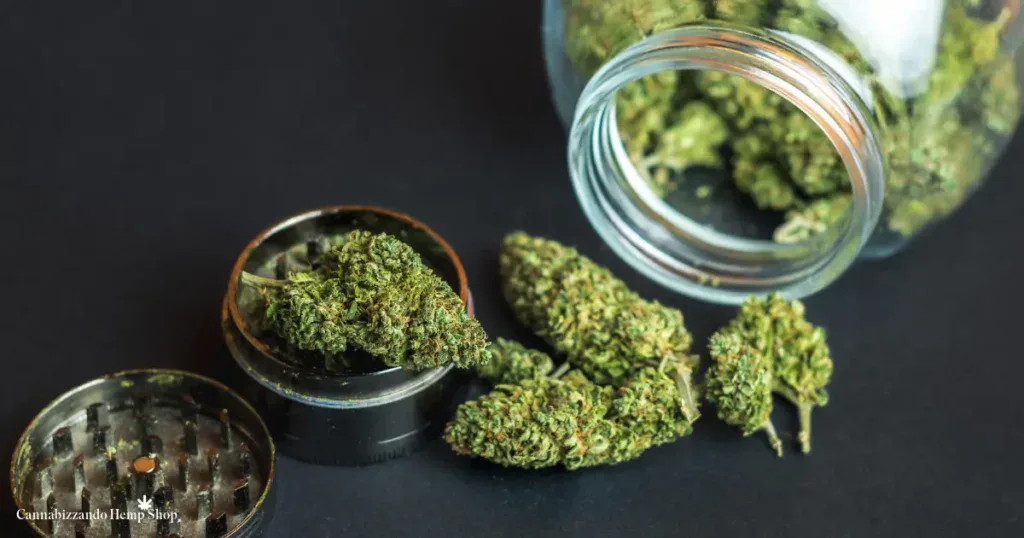 No ai cannabinoidi sintetici: Canapa Sativa Italia allerta i consumatori
Nota importante
Prima di tutto: la cannabis light (infiorescenze di Cannabis sativa L. a basso THC, non adulterate) non contiene cannabinoidi sintetici come MDMB-PINACA.

Il rischio riguarda invece prodotti venduti come “legali” ma adulterati/contaminati con sostanze di sintesi: una frode che può colpire consumatori e mettere nei guai anche operatori in buona fede. La presenza di tali sostanze non è riconoscibile a vista: contano tracciabilità e analisi.