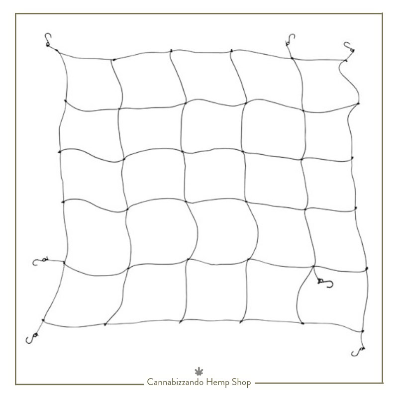 Secret Jardin Rete SCROG Elastica (WEBIT) | Supporto 120x120 e 150x150 Gestisci grandi spazi di coltivazione con la flessibilità della rete WEBIT. La rete elastica Secret Jardin WEBIT è progettata per i grower che lavorano in grow box di grandi dimensioni. Grazie alla sua elasticità, permette di coprire interamente l'area di coltivazione, adattandosi ai fusti in crescita e offrendo un supporto flessibile ma resistente per le tue piante più voluminose.