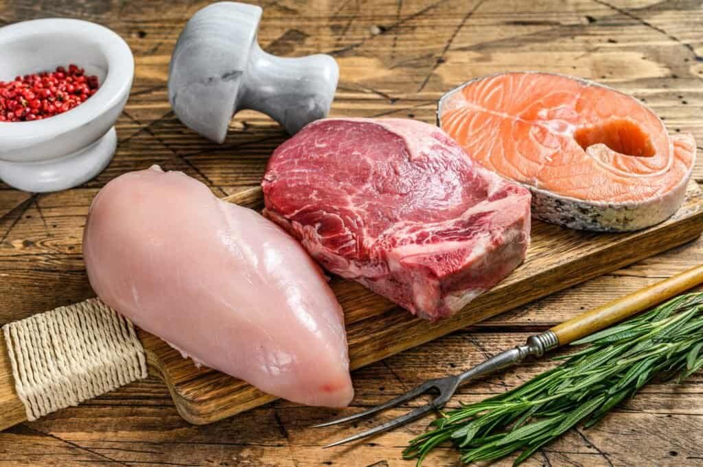 Best Types of Protein for a Carnivore Diet - meat, fish, and poultry