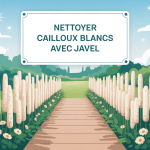 nettoyer cailloux blancs javel illustration jardin