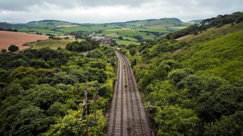 An image of a railway cutting through a forest highlighting the need for better insurance sector resilience.
