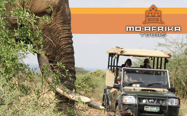 Kruger National Park Safaris - Where wildlife encounters come to life