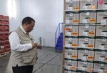 Dr Ivan Meyer inspects Tru-Cape apples and pears that are packed and ready to be distributed to local retailers.