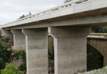 Collective strength_ how the BCCEI is building South Africa’s future