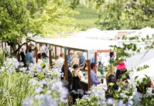 Nederburg to become the new host of the Cape Wine Auction