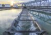 Developing solutions for SA’s waste water challenges