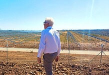 Water insecurity a business risk in the Western Cape, says Alan Winde