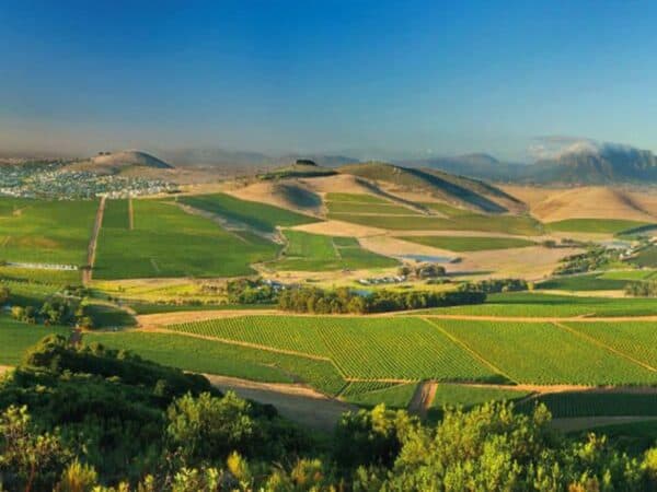 World-renowned Bloemendal Wine Estate - Bloem 1