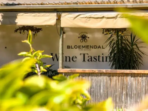World-renowned Bloemendal Wine Estate - Bloemendal Image2 (1)