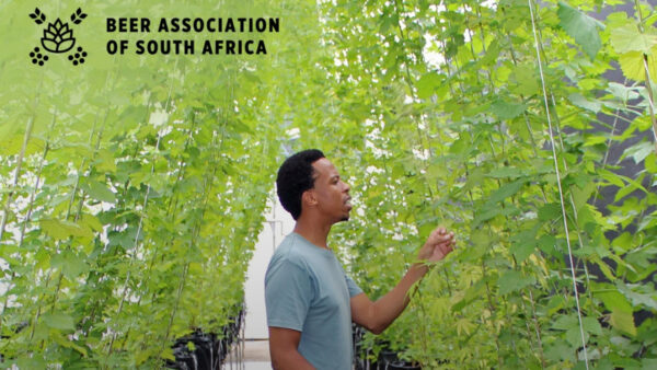 Brewing a better future: Sustainability must move beyond the month