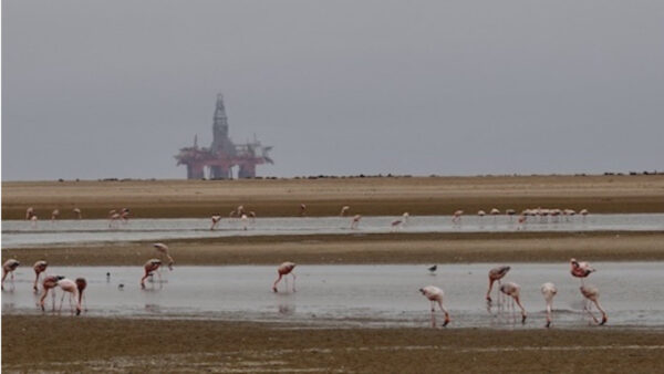 Namibia Oil Discovery: What it means for South Africa’s energy security