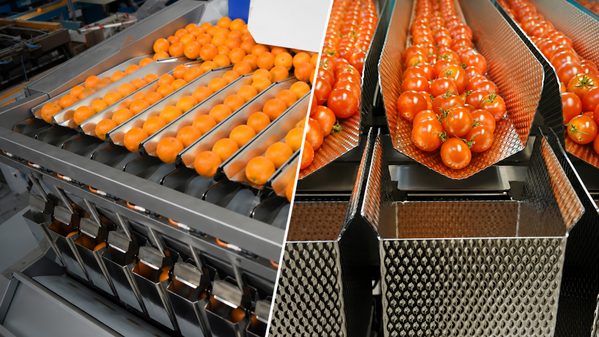 Agricultural automation helps South African producers reduce product losses, improve efficiency and increase profitability