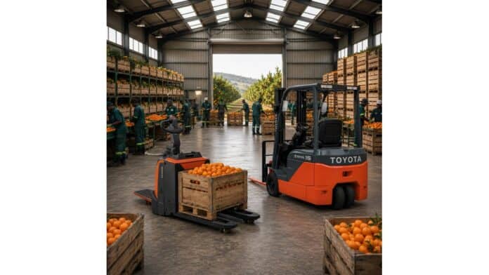 Seasonal rental helps Eastern Cape businesses boost productivity