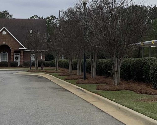 healthcare facilities