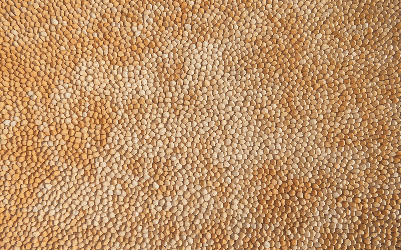 Gros plan moquette de pierre avantage et inconvénient