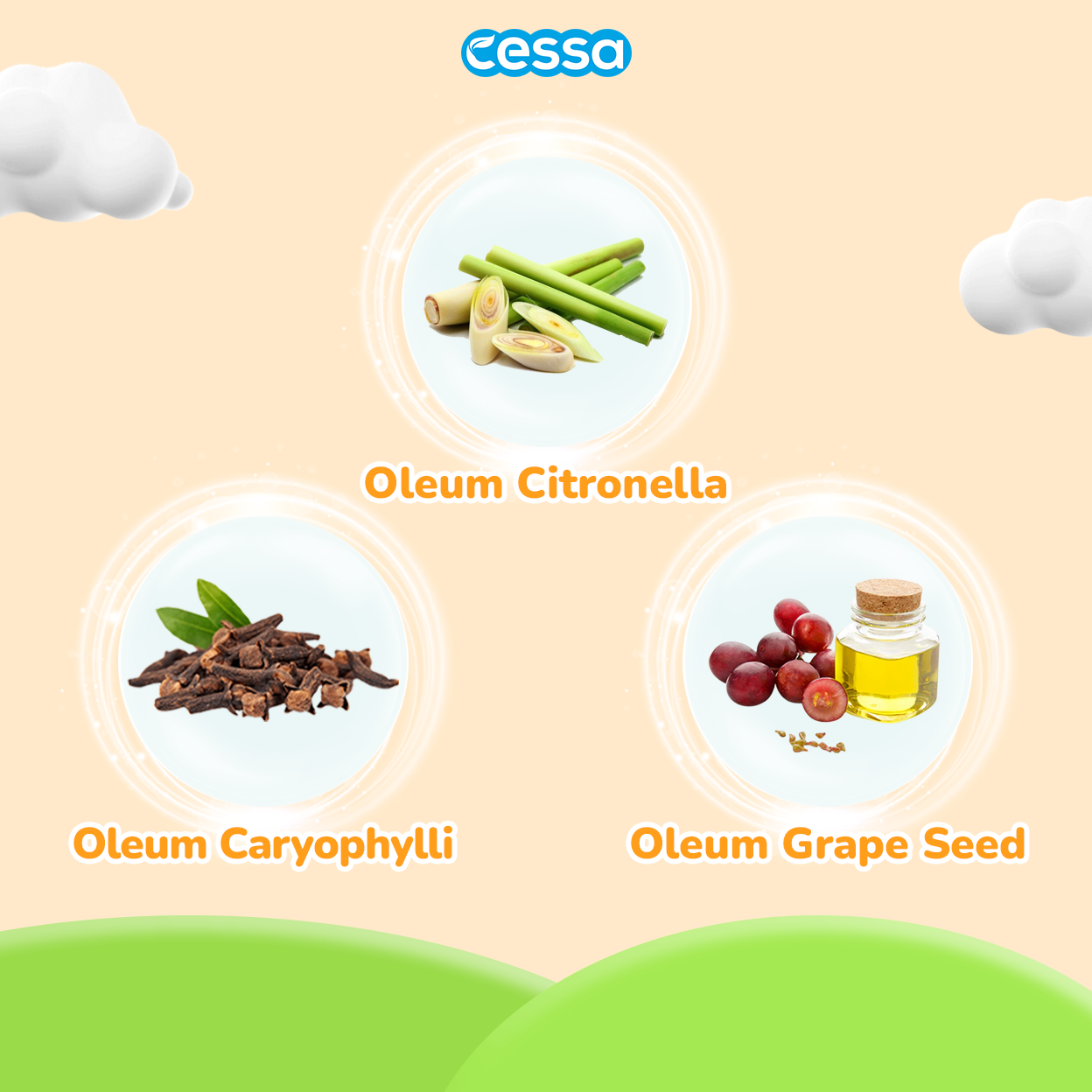 Cessa Baby Paket Anti Nyamuk DBD Bayi - Gambar 10