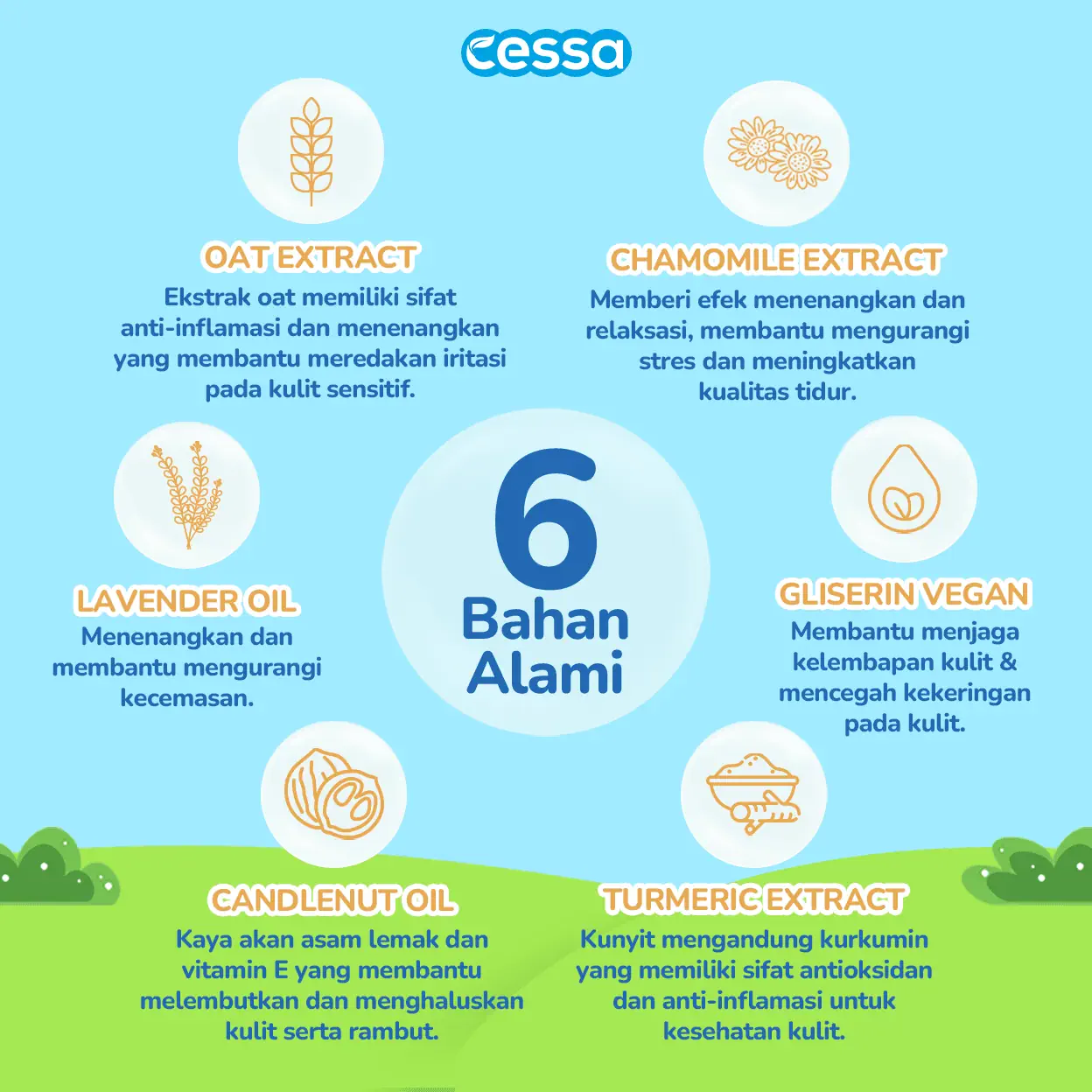 Cessa Hair & Body Wash Bottle - Healthy Skin & Silky Smooth Hair 250 Ml - Gambar 3