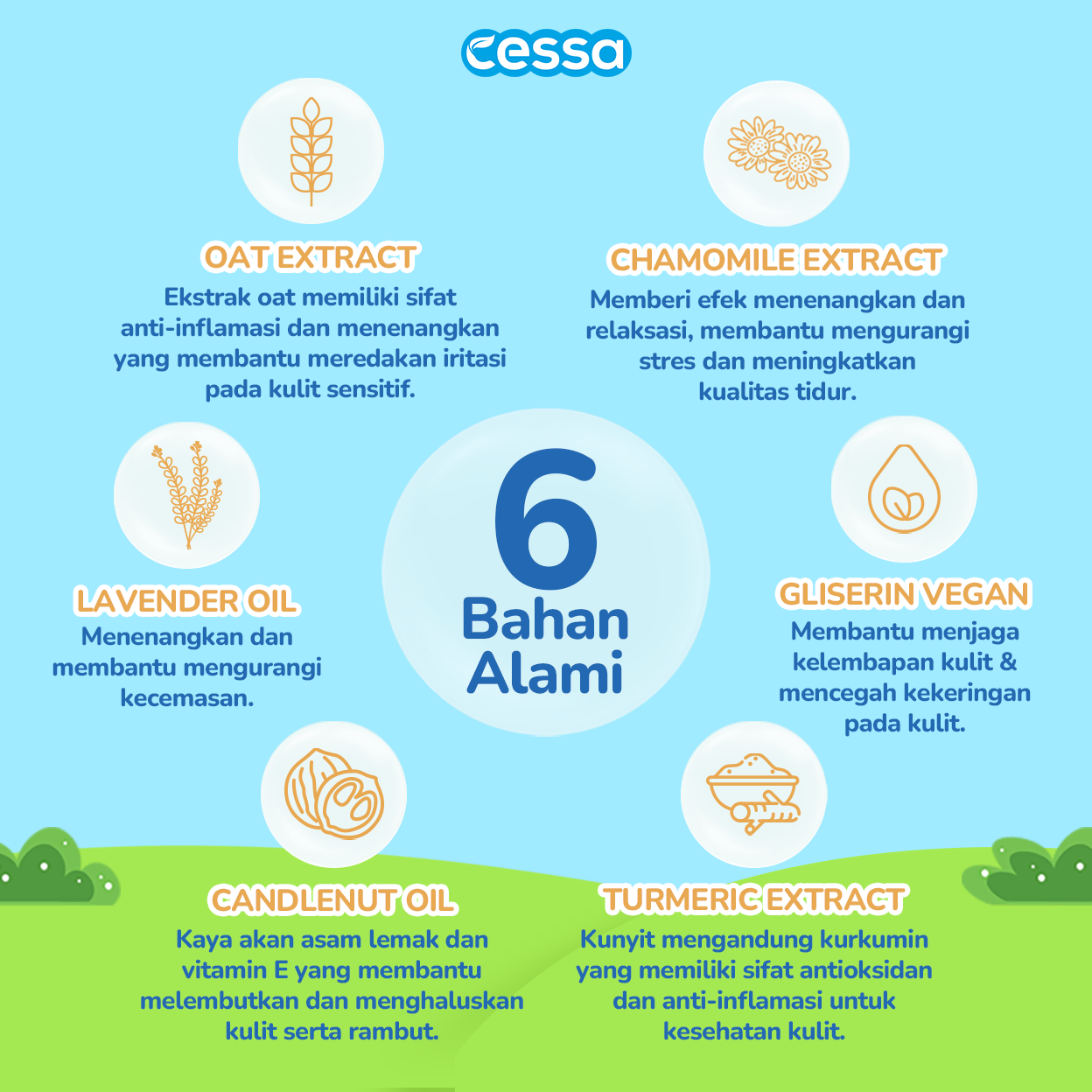 Cessa Hair & Body Wash Refill - Healthy Skin & Silky Smooth Hair 250 Ml - Gambar 3