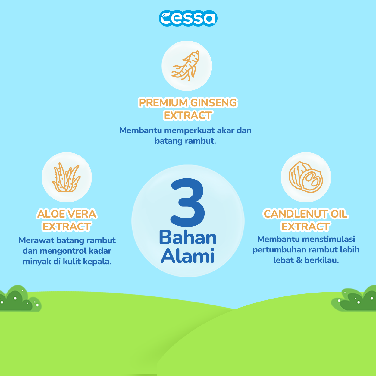 Cessa Paket Combo Rambut Tebal dan Kulit Kepala Sehat Nourishing Hair Shampoo 200ml & Nourishing Hair Lotion 100ml - Gambar 5