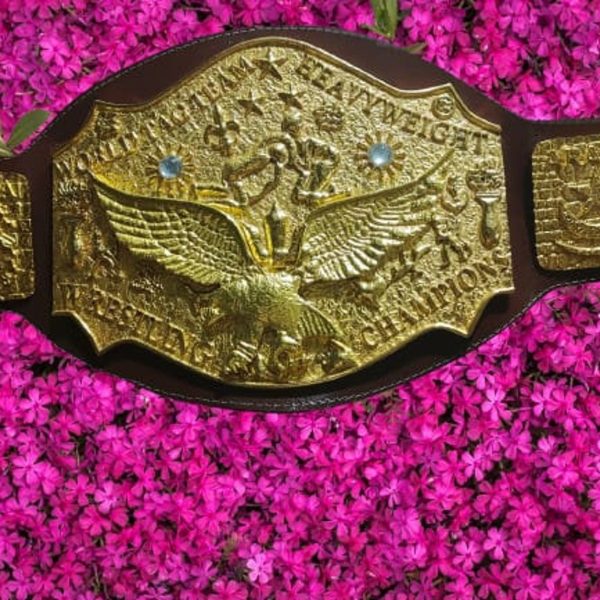 NWA World Tag Team Title Belt – Zinc Die-Cast