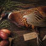 Viande faisandée faisan sur table rustique