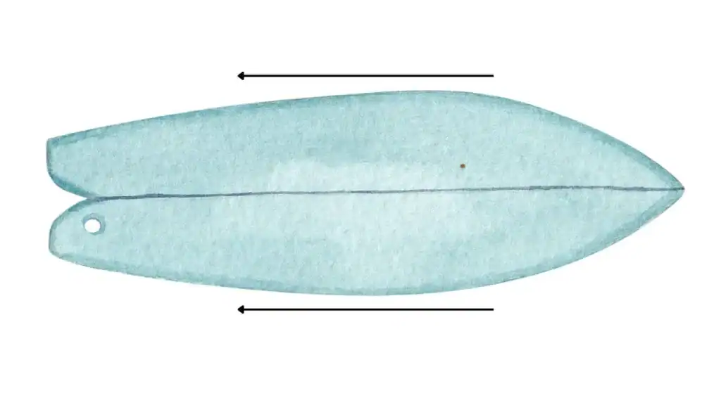 surfbaord rails