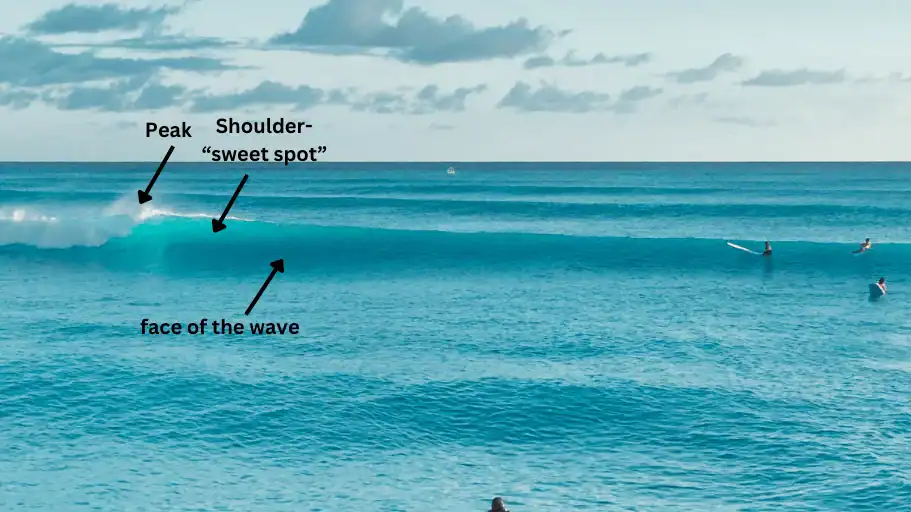 surfing in the sweet spot