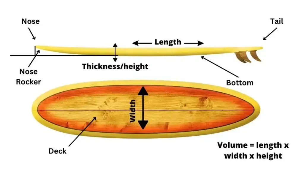 SURFBOARD types of COMPONENTS
