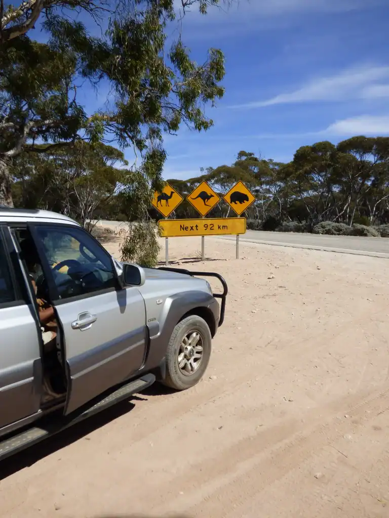 crossing The Nallabour plain