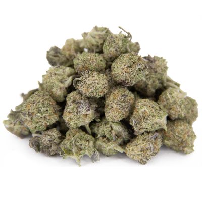 MAC Donuts (smalls) AAA