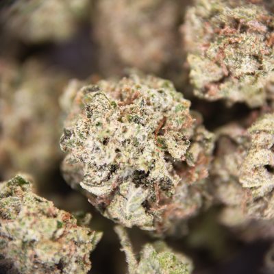 Alternative view of Gas Mask (popcorn) AAA