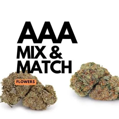 1 Ounce Mix and Match AAA