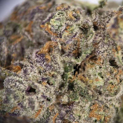 Alternative view of Frumpz AAA