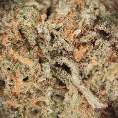 Alternative view of Super Silver Haze AAA