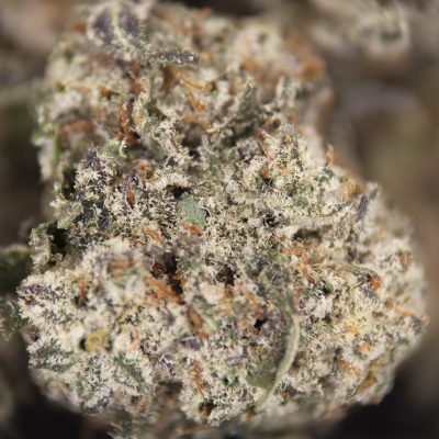 Alternative view of Death Master (smalls) AAA