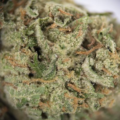 Alternative view of Fruit Rollupz AA