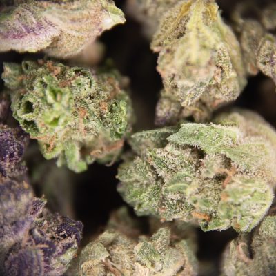 Alternative view of Grease Gun (smalls) AA