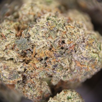 Close-up of Donkey Butter cannabis bud, high-quality AAA grade, dense and frosty.