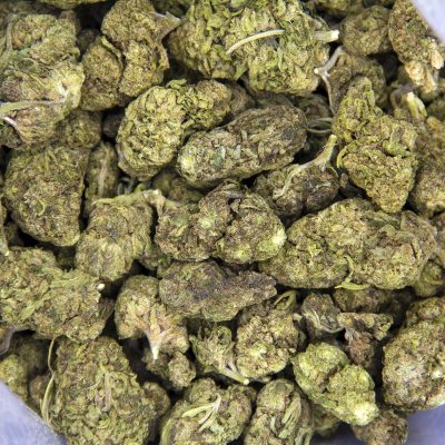 Close-up of fresh cannabis buds for sale, showing dense green flowers.