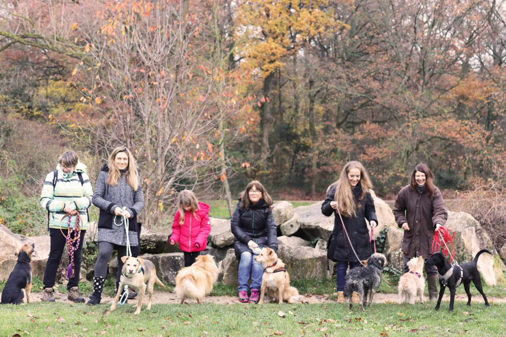 les petits innocents