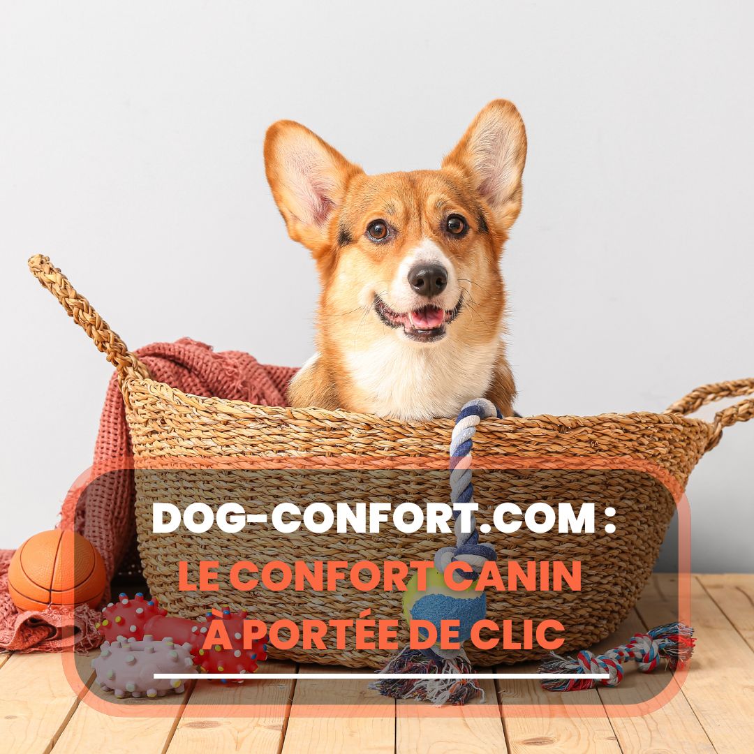 dog-confort.com